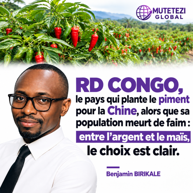 RD Congo, le pays qui plante le piment pour la Chine, alors que sa population meurt de faim : entre l’argent et le maïs, le choix est clair